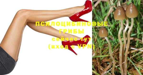 дмт Семикаракорск