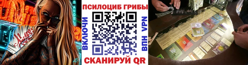 Псилоцибиновые грибы Psilocybe  Купить закладки  Полысаево 
